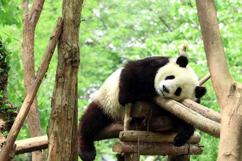 10 Cara Menghilangkan Rasa Malas dalam Segala Hal