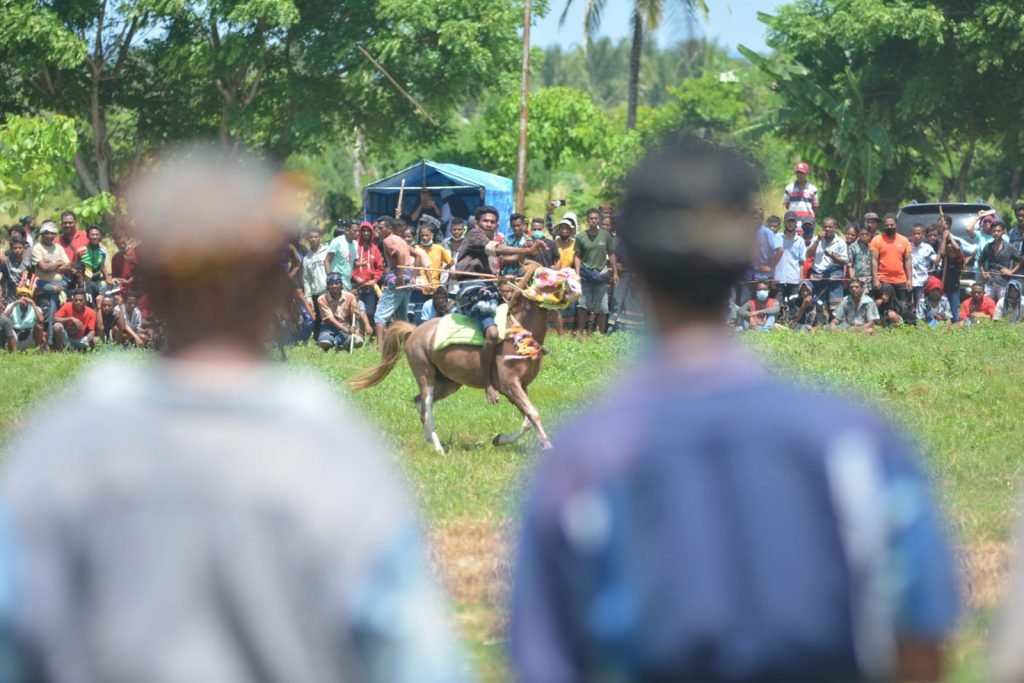 Festival Pasola “Gladiator Lokal” di Tanah Sumba Barat Daya, Ini Makna dan Filosof Secara Tradisi