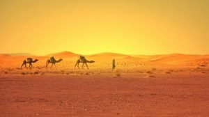 Cuaca Arab Saudi Sangat Panas, Jemaah Diminta Banyak Minum