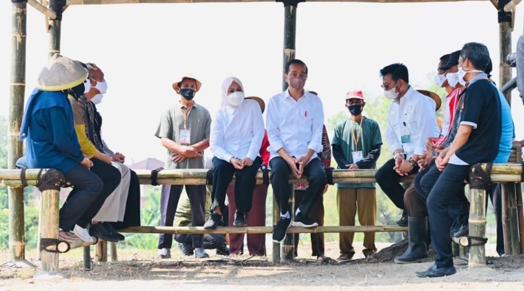 Tanam Kelapa Genjah, Presiden Tegaskan Pentingnya Jaga Pasokan Pangan Nasional
