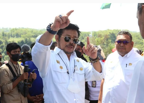 Dijadikan Sentra Kelapa Genjah, Presiden Tanam Perdana di Solo Raya