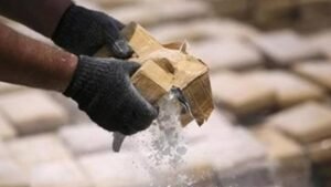 Sangar, 1 Ton Kokain Disimpan di Truk Pembawa Kotoran Kucing