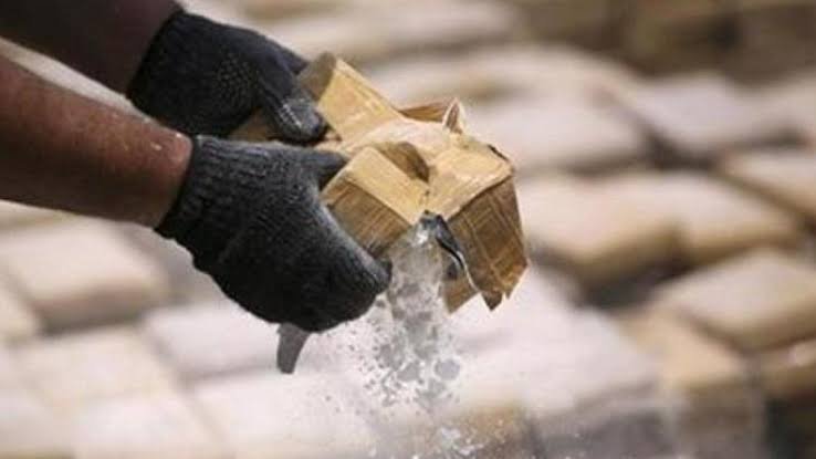 Sangar, 1 Ton Kokain Disimpan di Truk Pembawa Kotoran Kucing