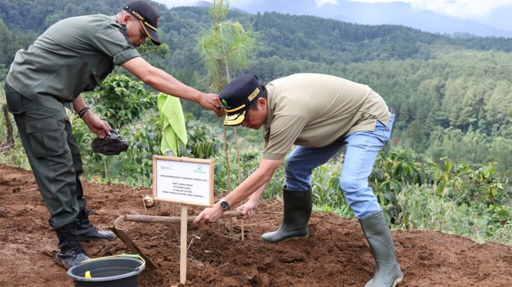 Perhutani Tanam 24 Juta Pohon, Perluas Lahan Hijau