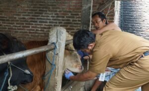 Kementan Siapkan Empat Juta Vaksin