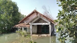 Penurunan Tanah Kawasan Pantura Diwaspadai