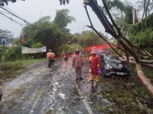 Cuaca Ekstrem, Puluhan Pohon Tumbang di Semarang