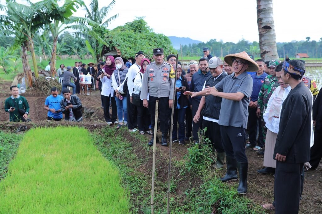 Pemerintah Siapkan 16 Triliun untuk Ketahanan Pangan