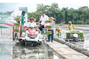 Masuk Kemarau, Luthfi Genjot Penanaman Padi