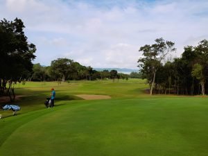 Tinggal Dekat Lapangan Golf Tingkatkan Risiko Parkinson