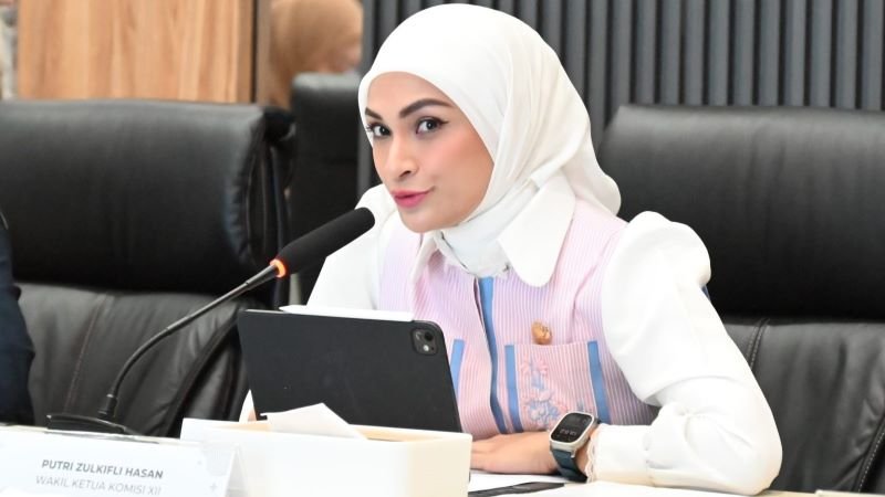 Fraksi PAN Apresiasi Keputusan Pencabutan IUP di Raja Ampat