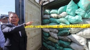 Tambang Ilegal di Jantung IKN Terbongkar, Negara Rugi Rp5,7 Triliun