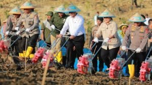 Mentan Klaim RI Surplus Jagung