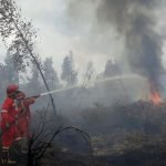 Kemarau 2026 Datang Lebih Awal, BMKG Wanti-wanti Dampaknya ke Pertanian hingga Karhutla