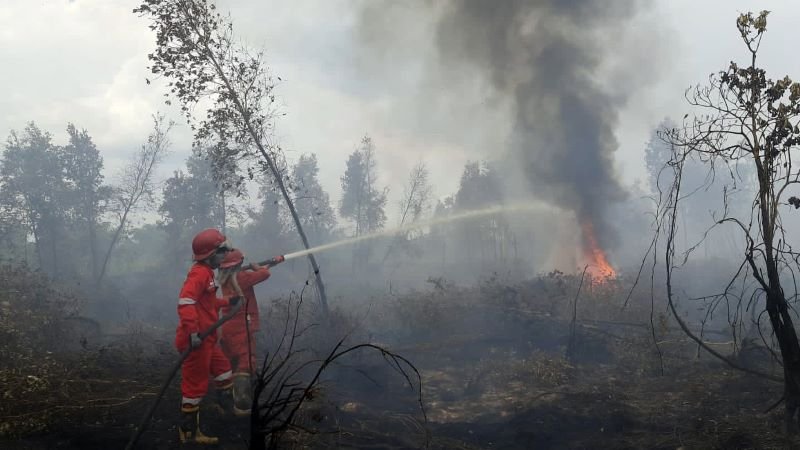 Baru 40 Persen Perusahaan Sawit Siap Cegah Karhutla, Menteri LH Beri Peringatan
