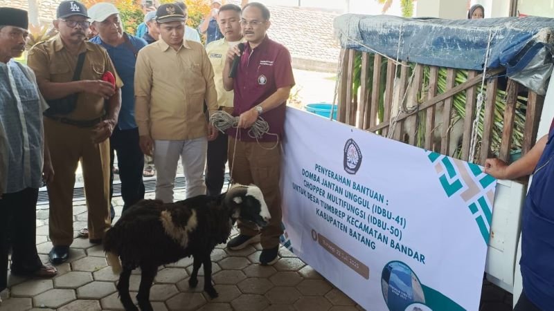 Undip Jadikan Desa Tumbrep Sentra Agribisnis Domba Terpadu