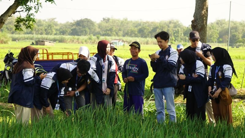 Undip Bantu Petani Babadan Kembangkan Pestisida Nabati Ramah Lingkungan