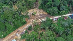 Diduga Picu Banjir, Delapan Perusahaan di Sumut Mulai Dibidik KLH