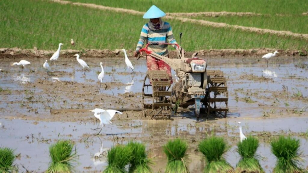 Nusron Temui Prabowo, Alih Fungsi Lahan Bikin 554 Ribu Hektare Sawah Menyusut