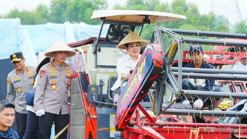Komisi IV DPR Dorong Ekspor Beras dan Jagung