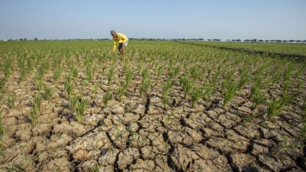 Kemarau 2026 Diprediksi Lebih Kering, BMKG Minta Daerah Rawan Kekeringan Siaga