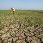 Kemarau 2026 Diprediksi Lebih Kering, BMKG Minta Daerah Rawan Kekeringan Siaga