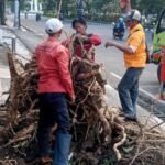 Semarang Diterjang Hujan Angin, 86 Pohon Tumbang Dievakuasi dalam Semalam