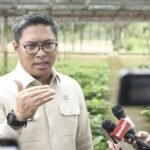 Main Harga Pangan Jelang Lebaran? Siap-Siap Kena Pidana