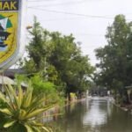 BNPB: Pengungsi Banjir Demak Bertambah Jadi 2.839 Jiwa, Sebar di Sejumlah Titik