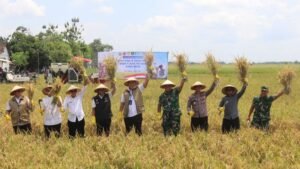 Dirut Bulog Optimistis Serapan 4 Juta Ton Beras 2026 Tercapai