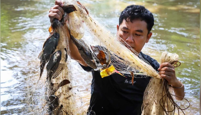 Marak Berantas Ikan Sapu-Sapu di Jakarta, Pakar IPB University Sarankan Tiga Strategi Efektif