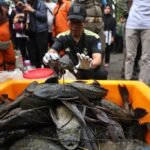 Hukum Memusnahkan Ikan Sapu-Sapu dengan Cara Dikubur Hidup-Hidup