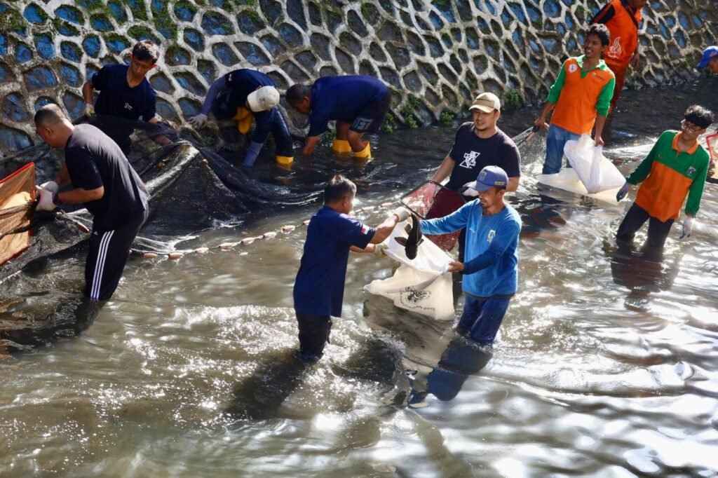 “War’ Ikan Sapu-sapu di Ibukota, Gubernur Pramono Minta Diperluas
