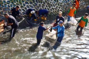 “War’ Ikan Sapu-sapu di Ibukota, Gubernur Pramono Minta Diperluas