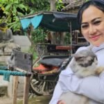 Keterwakilan Perempuan Minimal 30 Persen! Ormas G-Nesia : Keputusan MK Wajib Didukung