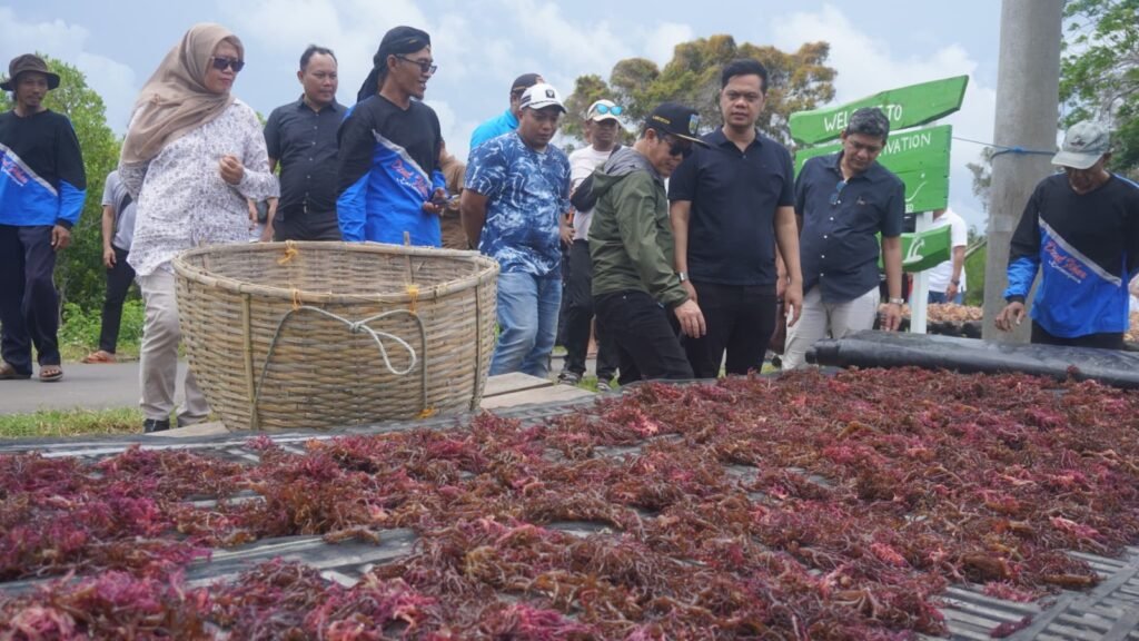 Bantuan Budidaya Rumput Laut Rp 9 M Siap Dongkrak Ekonomi Masyarakat Pesisir Karimunjawa