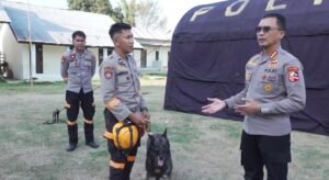 k9_labuan_bajo_gempa_bumi
