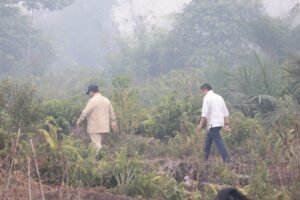 Presiden Prabowo Masuk Hutan Cek Lokasi Kebakaran di Limbung Kalbar