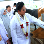 Produksi Susu Baru 20 Persen, Titiek Soeharto Minta Ekosistem Peternakan Diperkuat