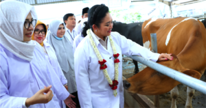 Produksi Susu Baru 20 Persen, Titiek Soeharto Minta Ekosistem Peternakan Diperkuat